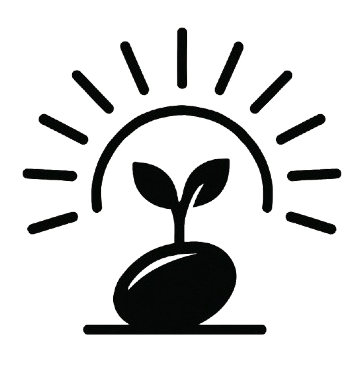 Seed & Light